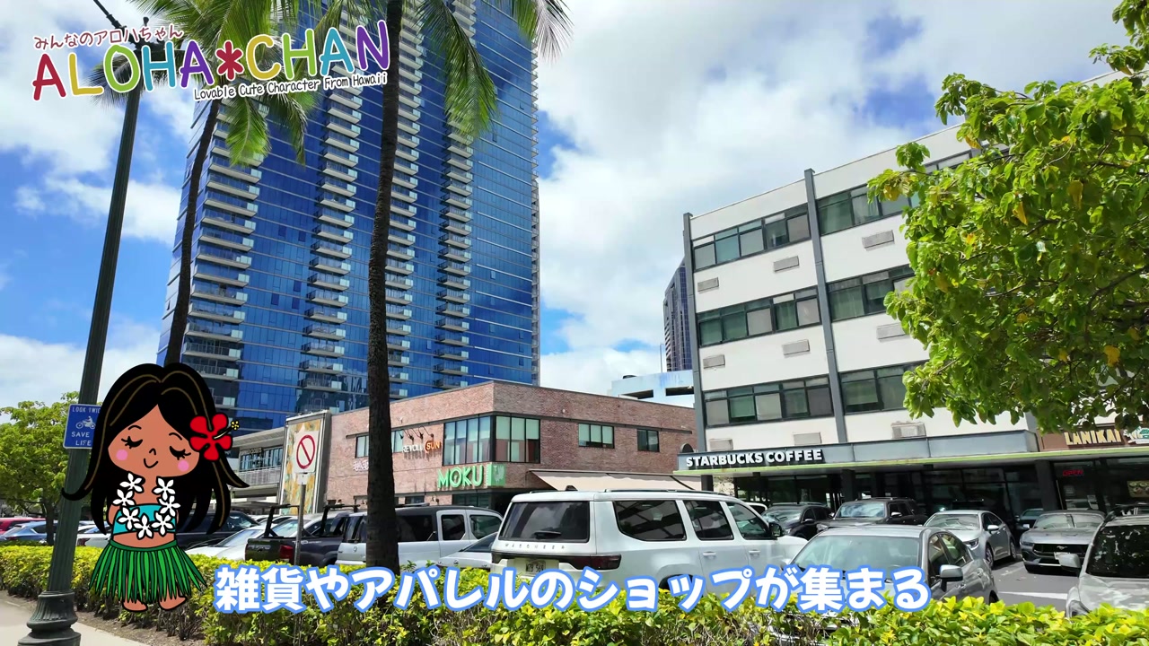 「ソルト」とは？